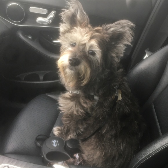 Meet your Posher, Elizabeth - Picture 12 of 16